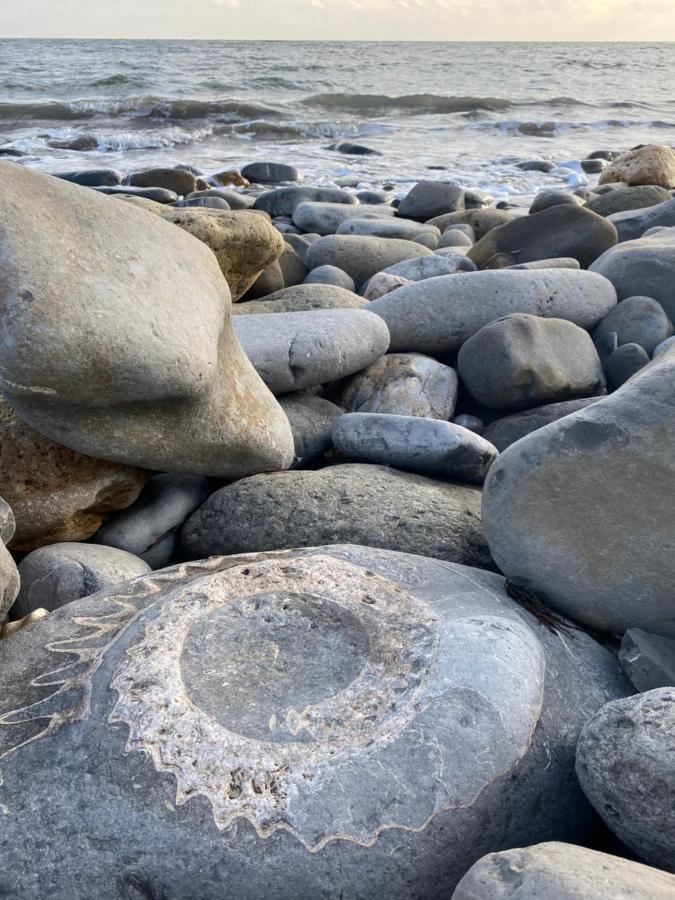 Appartamento Seabreeze Lyme Regis Esterno foto